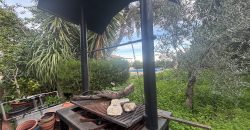 Casa o chalet independiente en venta en Calle Mirlo