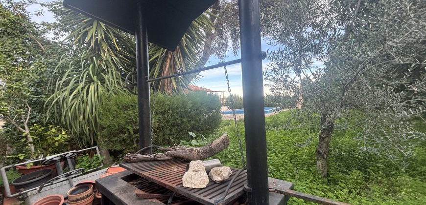 Casa o chalet independiente en venta en Calle Mirlo