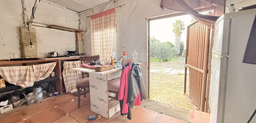 Finca rústica a pie de carretera, situada en el Camino de las Arcas, a la salida de Las Cabezas de San Juan.