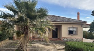 Casa o chalet independiente en venta en Calle Mirlo