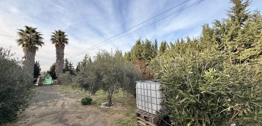 Finca rústica a pie de carretera, situada en el Camino de las Arcas, a la salida de Las Cabezas de San Juan.