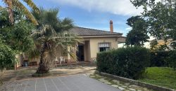 Casa o chalet independiente en venta en Calle Mirlo