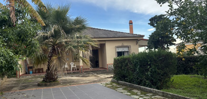 Casa o chalet independiente en venta en Calle Mirlo