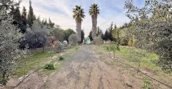 Finca rústica a pie de carretera, situada en el Camino de las Arcas, a la salida de Las Cabezas de San Juan.