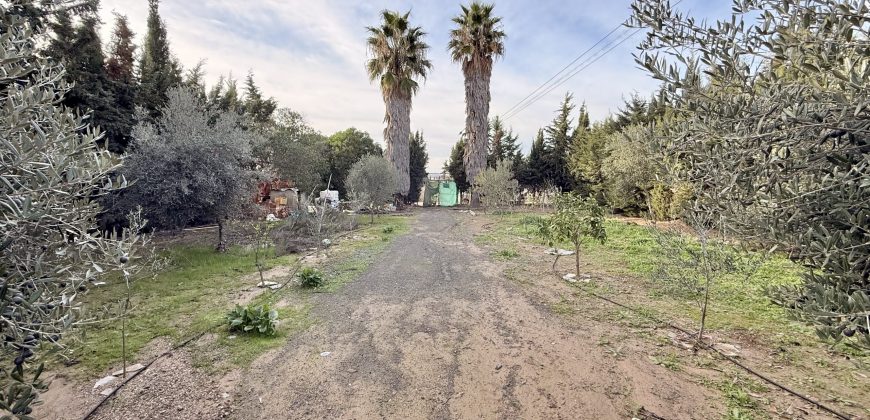 Finca rústica a pie de carretera, situada en el Camino de las Arcas, a la salida de Las Cabezas de San Juan.