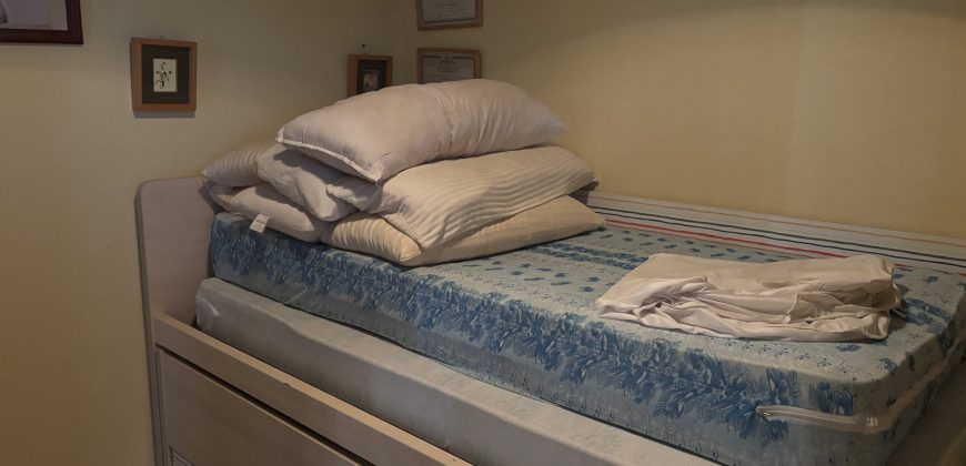 Casa o chalet independiente en venta en Calle Mirlo