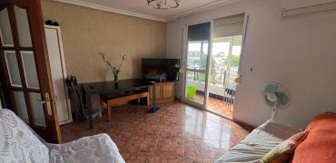 PIEOS EN VENTA EN ALCOSA (CON INQUILINOS)