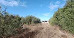 TERRENO EN VENTA EN NUEVO BULEVAR (MAIRENA DEL ALJARAFE).