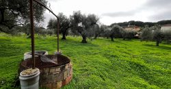 Terreno agrario – Bollullos de la Mitación