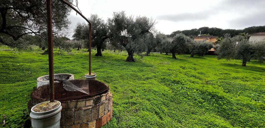 Terreno agrario – Bollullos de la Mitación