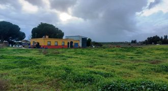 Finca rústica -Bollullos de la Mitación