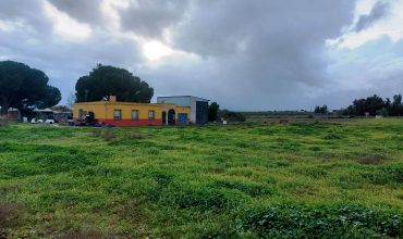 Finca rústica -Bollullos de la Mitación