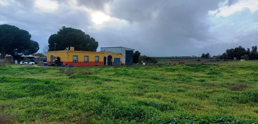 Finca rústica -Bollullos de la Mitación