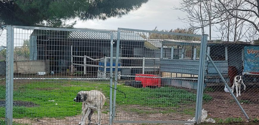 Finca rústica -Bollullos de la Mitación