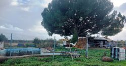 Finca rústica -Bollullos de la Mitación