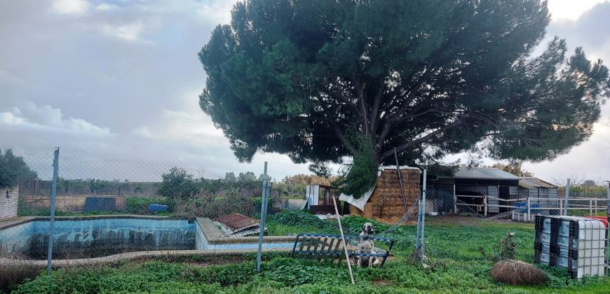 Finca rústica -Bollullos de la Mitación