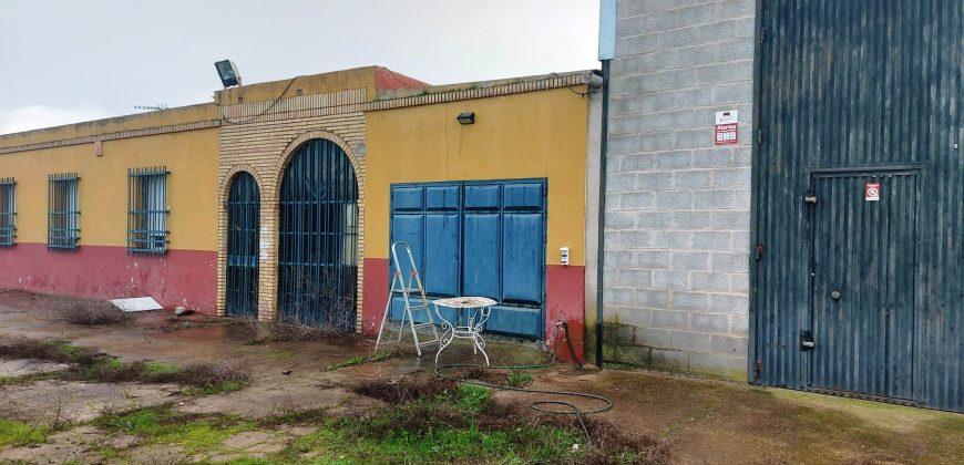 Finca rústica -Bollullos de la Mitación