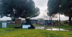 Finca rústica -Bollullos de la Mitación