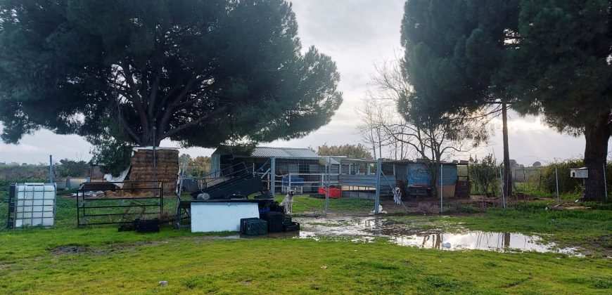 Finca rústica -Bollullos de la Mitación