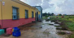 Finca rústica -Bollullos de la Mitación