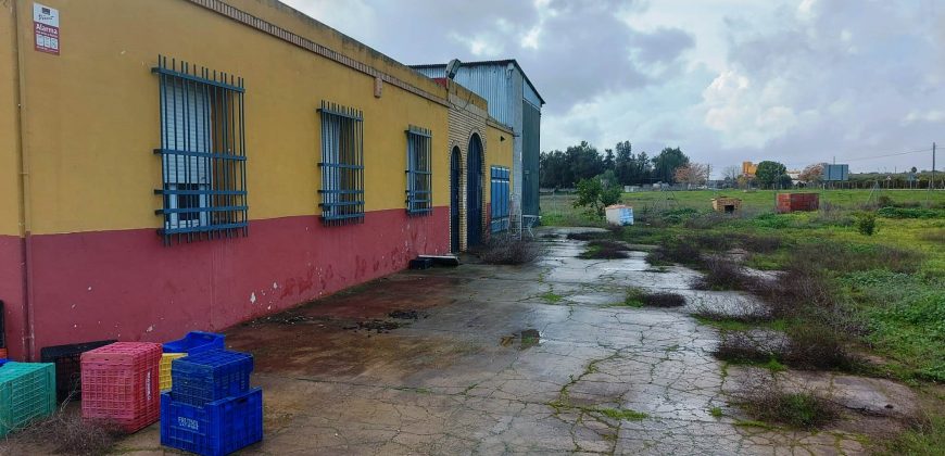 Finca rústica -Bollullos de la Mitación