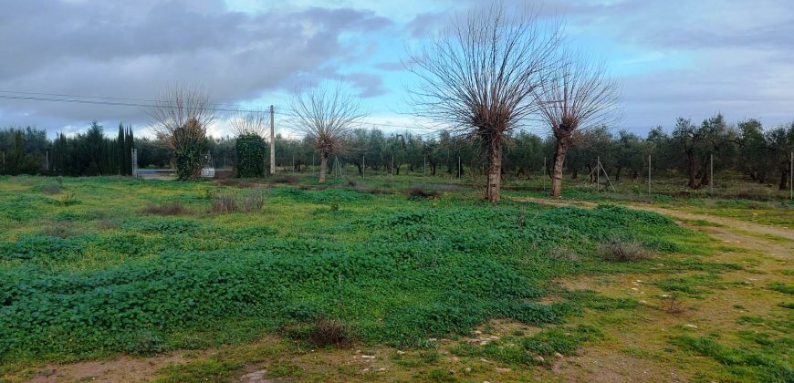 Finca rústica -Bollullos de la Mitación