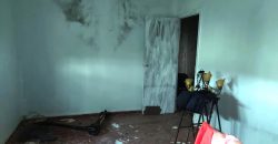 Finca rústica -Bollullos de la Mitación