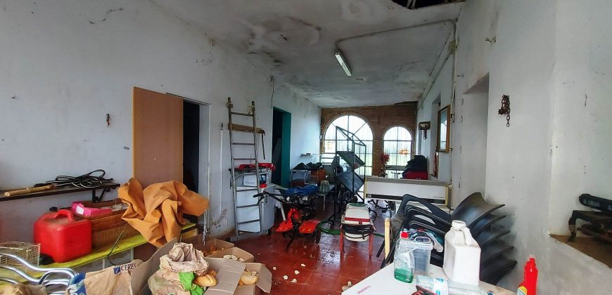 Finca rústica -Bollullos de la Mitación