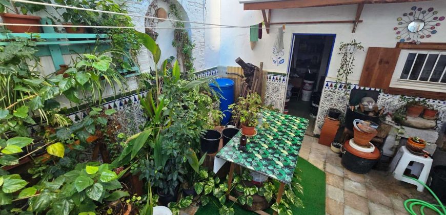 Casa – Castilleja de la Cuesta