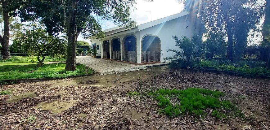 Chalet independiente – Espartinas