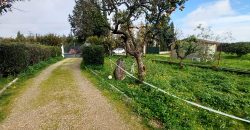 Chalet independiente – Espartinas