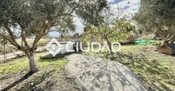 Finca rústica en Cornejil, cerca de Lebrija y El Cuervo.