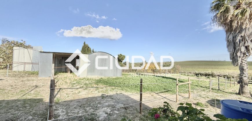 Finca rústica en Cornejil, cerca de Lebrija y El Cuervo.