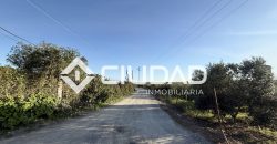 Campo en zona Toyón – Cerca de la Feria (El Cuervo)