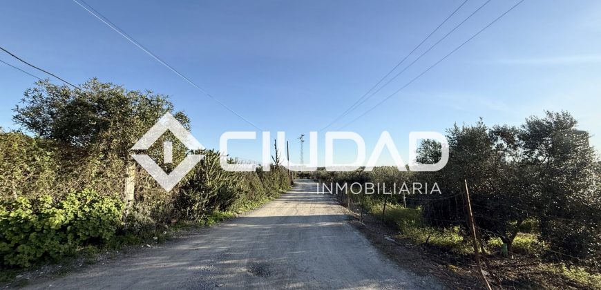 Campo en zona Toyón – Cerca de la Feria (El Cuervo)