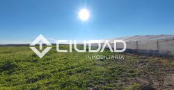 Finca rústica en zona Majada–Melendo (Lebrija)