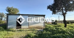 Campo en zona Toyón – Cerca de la Feria (El Cuervo)