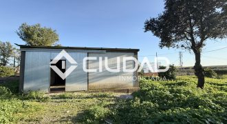 Campo en zona Toyón – Cerca de la Feria (El Cuervo)