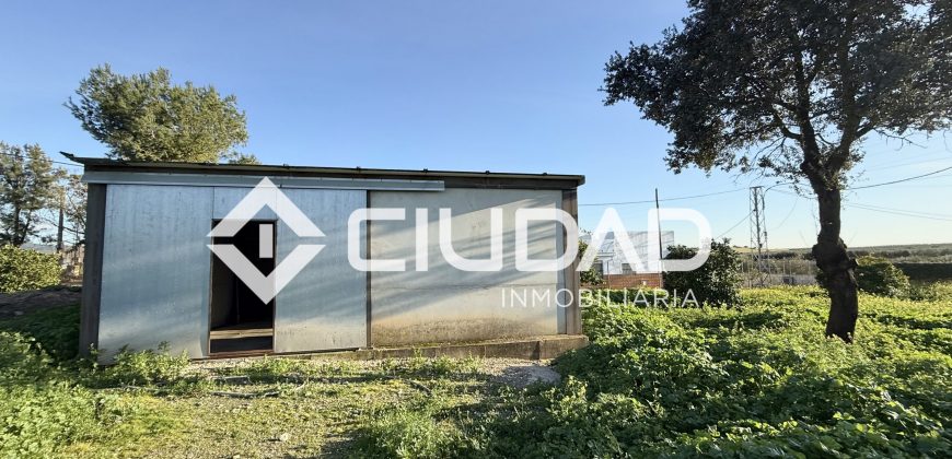 Campo en zona Toyón – Cerca de la Feria (El Cuervo)