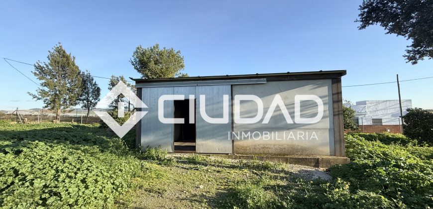 Campo en zona Toyón – Cerca de la Feria (El Cuervo)