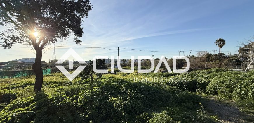 Campo en zona Toyón – Cerca de la Feria (El Cuervo)