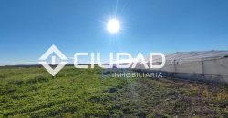 Finca rústica en zona Majada–Melendo (Lebrija)