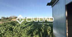 Campo en zona Toyón – Cerca de la Feria (El Cuervo)