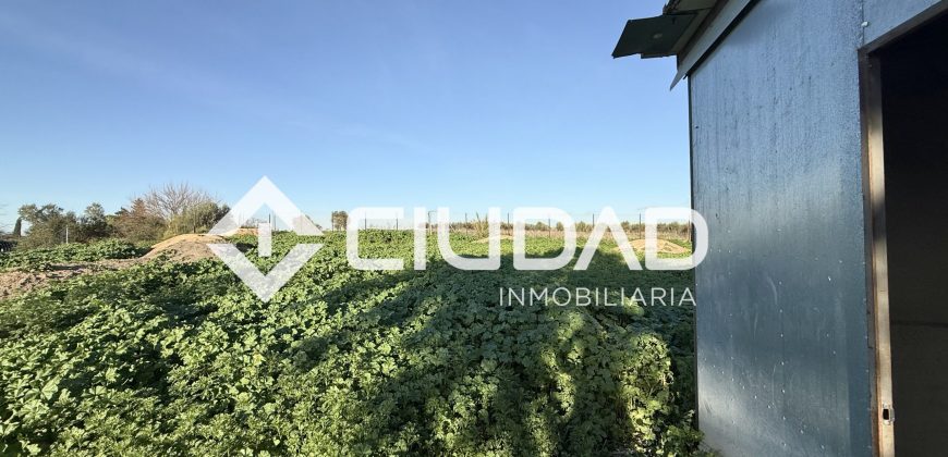 Campo en zona Toyón – Cerca de la Feria (El Cuervo)