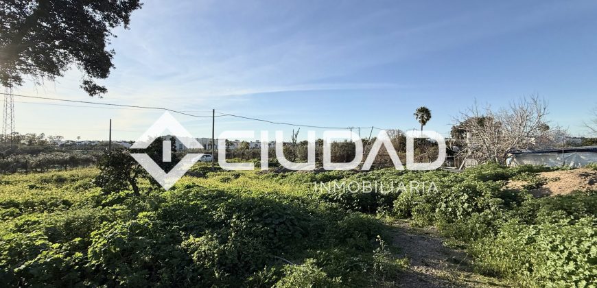 Campo en zona Toyón – Cerca de la Feria (El Cuervo)