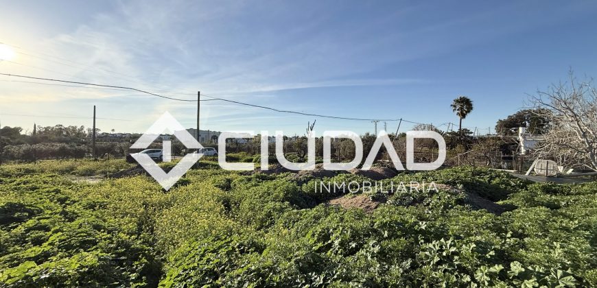 Campo en zona Toyón – Cerca de la Feria (El Cuervo)