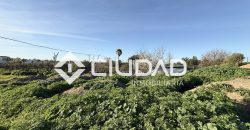 Campo en zona Toyón – Cerca de la Feria (El Cuervo)