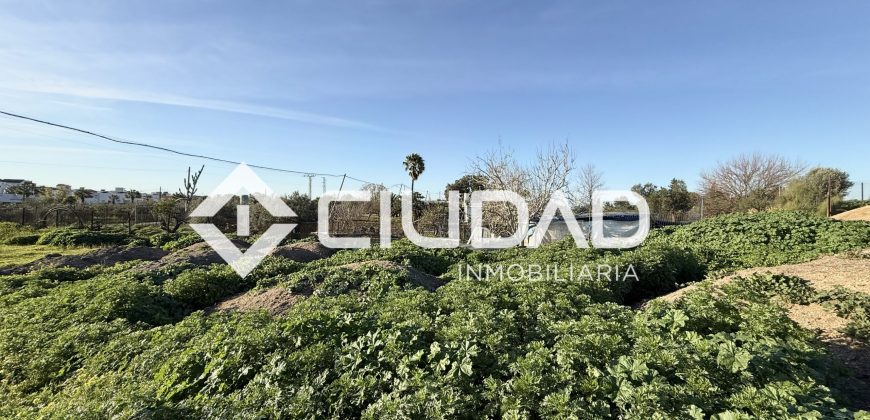 Campo en zona Toyón – Cerca de la Feria (El Cuervo)