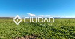 Finca rústica en zona Majada–Melendo (Lebrija)