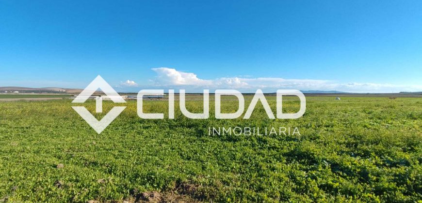 Finca rústica en zona Majada–Melendo (Lebrija)